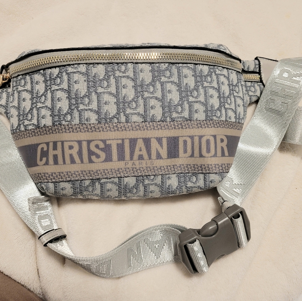 CD belt bag - NWOT